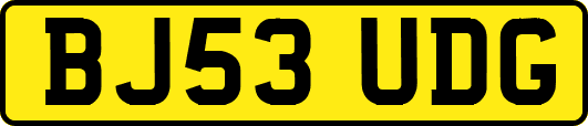 BJ53UDG