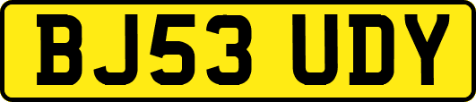 BJ53UDY