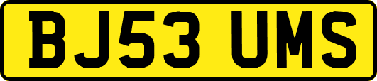 BJ53UMS