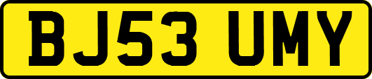 BJ53UMY
