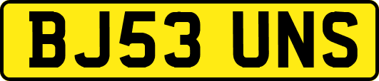 BJ53UNS