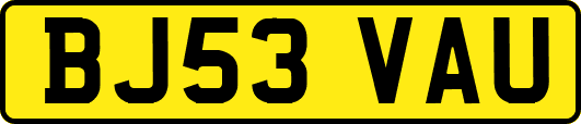 BJ53VAU