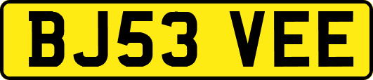BJ53VEE