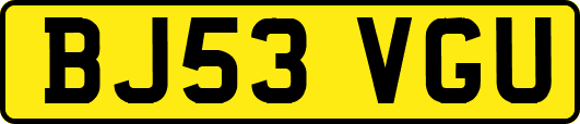 BJ53VGU