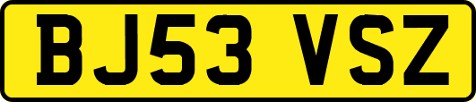 BJ53VSZ