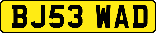 BJ53WAD
