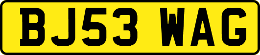 BJ53WAG
