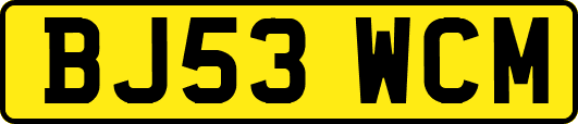 BJ53WCM
