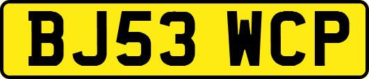 BJ53WCP