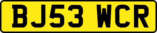 BJ53WCR