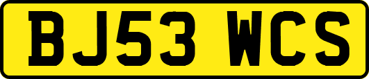 BJ53WCS
