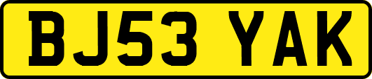 BJ53YAK