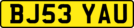 BJ53YAU