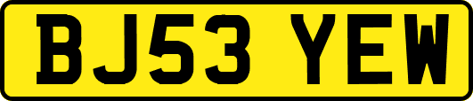 BJ53YEW