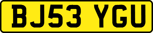 BJ53YGU