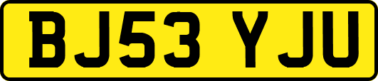 BJ53YJU