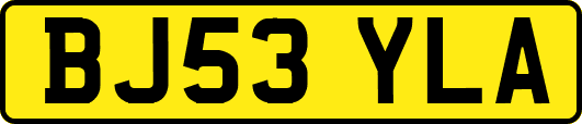 BJ53YLA