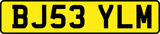BJ53YLM