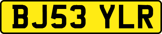 BJ53YLR