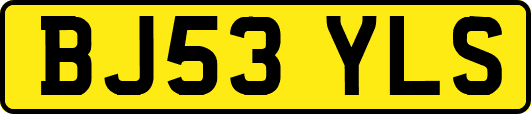 BJ53YLS