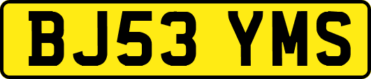 BJ53YMS