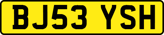 BJ53YSH