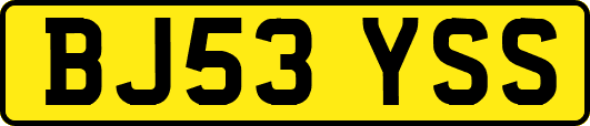 BJ53YSS