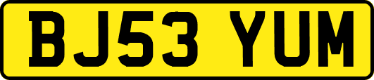 BJ53YUM