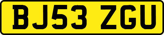 BJ53ZGU