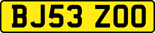 BJ53ZOO