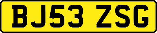 BJ53ZSG