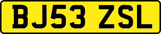 BJ53ZSL