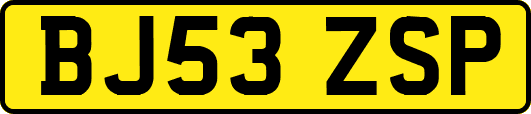 BJ53ZSP