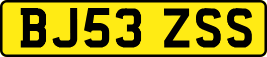 BJ53ZSS