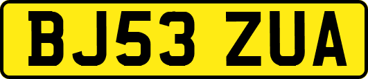 BJ53ZUA