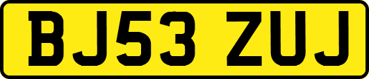 BJ53ZUJ