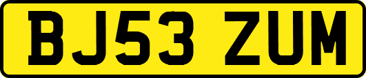 BJ53ZUM