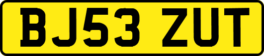 BJ53ZUT