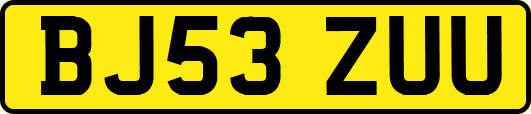 BJ53ZUU