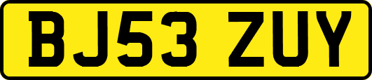 BJ53ZUY