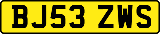 BJ53ZWS