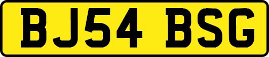 BJ54BSG