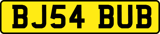 BJ54BUB