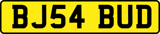 BJ54BUD