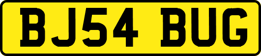 BJ54BUG