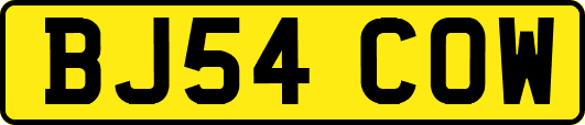 BJ54COW