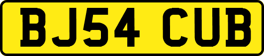 BJ54CUB