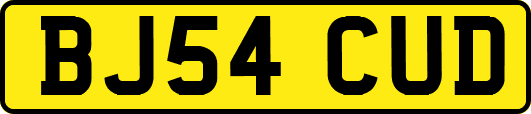 BJ54CUD