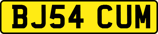 BJ54CUM