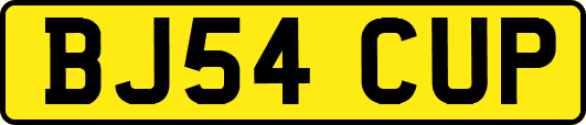 BJ54CUP